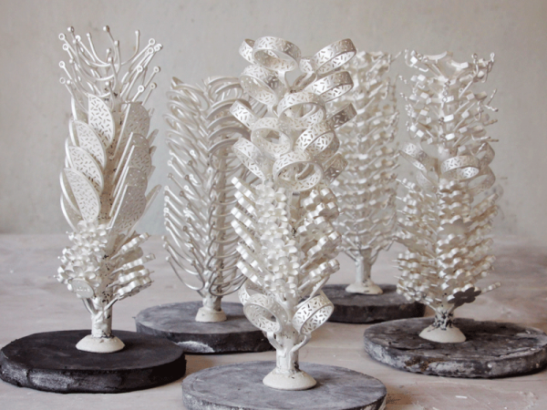 Silver-Tree